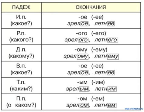 Существительные и прилагательные с отсутствием окончания