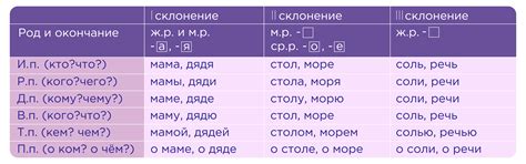 Существительные и прилагательные с падежными формами на "и": тонкие нюансы правильного склонения