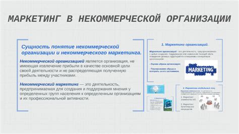 Сущность некоммерческой организации