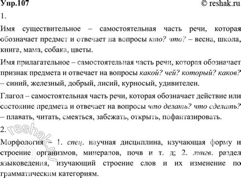 Сущность существительного: описание и примеры применения