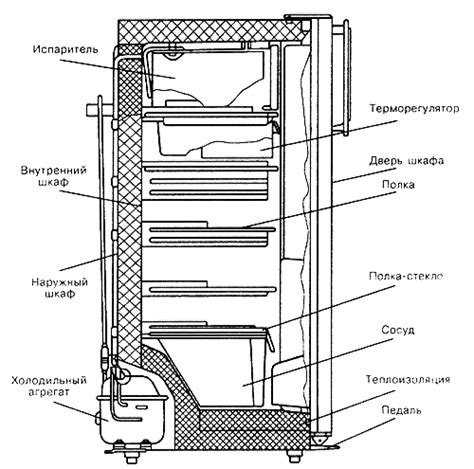 Схема распределения компонентов внутри холодильной камеры