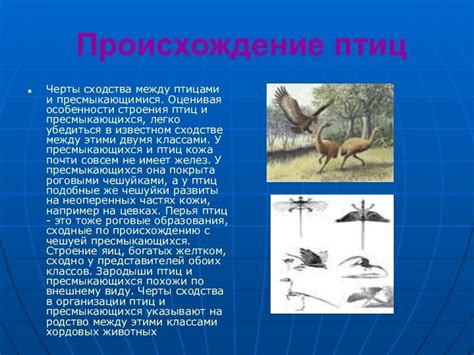 Сходства в понимании между певчими и хищными птицами: общие особенности взаимопонимания