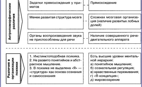 Сходства и отличия в мыслительных подходах А. Шастуна и А. Попова