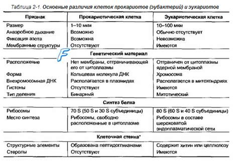 Сходства и различия вирусных и генетических образований