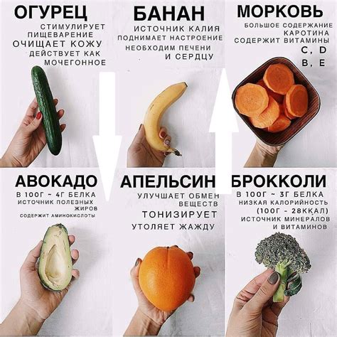 Сырные продукты, подходящие в качестве альтернативы творогу