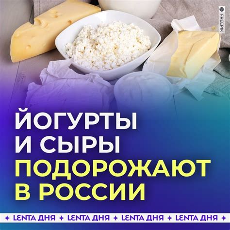 Сыры: вкусное богатство молочных продуктов