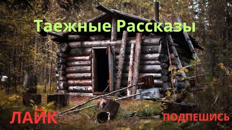 Тайные уголки лесов Кемеровской области: идеальные места для сбора золотистых грибочков