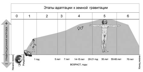 Тайны возникновения жизни: место проявления и воздействие оплодотворения на организм человека