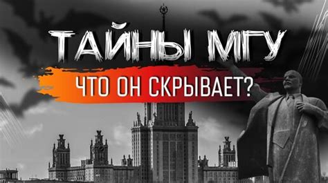 Тайны и увлечения Алеко: что скрывает за собой известный резидент города