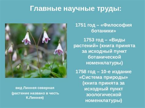 Тайны природы: в поисках уникальной ботанической флоры