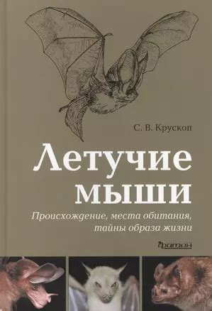 Тайны уникального мира эпохального места: их происхождение и судьба