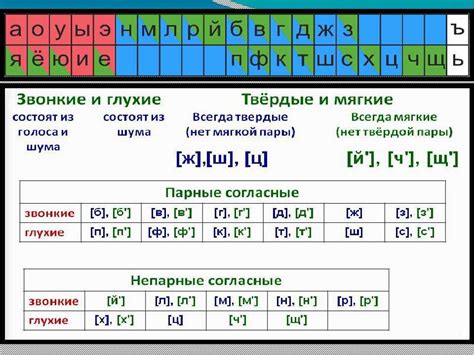 Твердые согласные: полный перечень и правила применения