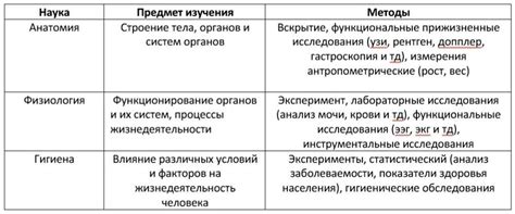 Творческие исследования в дополнительной материал рабочей тетради