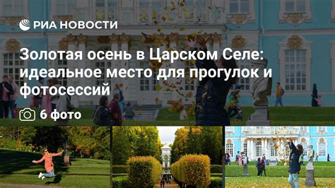 Творчество в зеленом окружении: идеальное место для фотосессий и выражения искусства