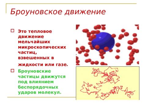 Тела сформированы из микроскопических частиц: научное пояснение и ключевые принципы