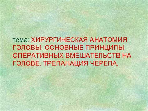 Тема 1: Основные принципы самостоятельной бритвы головы