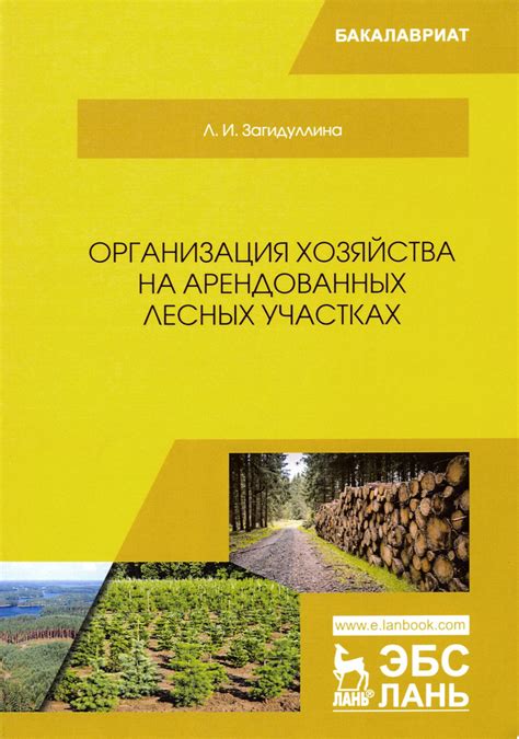 Тема 1: Работа на лесных участках во время дождя: характеристика и особенности