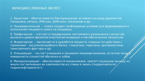 Тема 1: Роль питательных компонентов в поддержании высокого уровня активности
