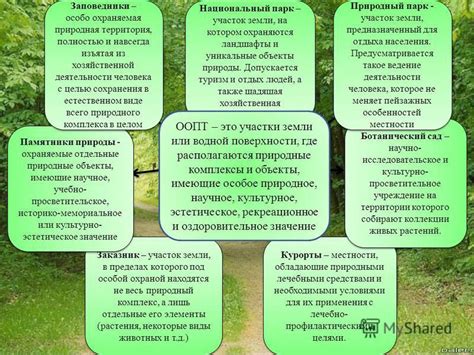 Тема 3: Оазисы природы: парки и сады, окруженные теплыми солнечными лучами