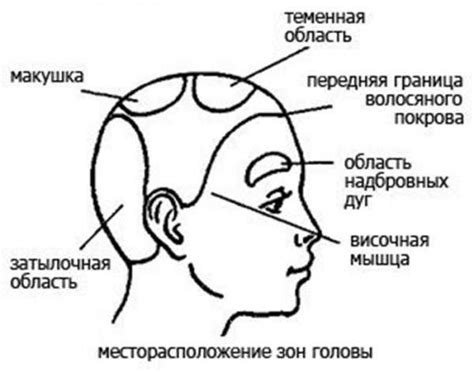 Темечко на голове: причины и способы решения проблемы