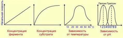 Температура: важное условие для скорости реакции