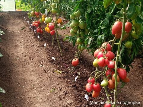 Температура: ключевой фактор сохранности и вкусовых качеств вина