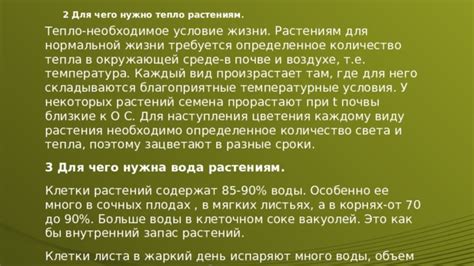 Температурные условия и сроки сохранения питательного огородного добра в холодильной камере