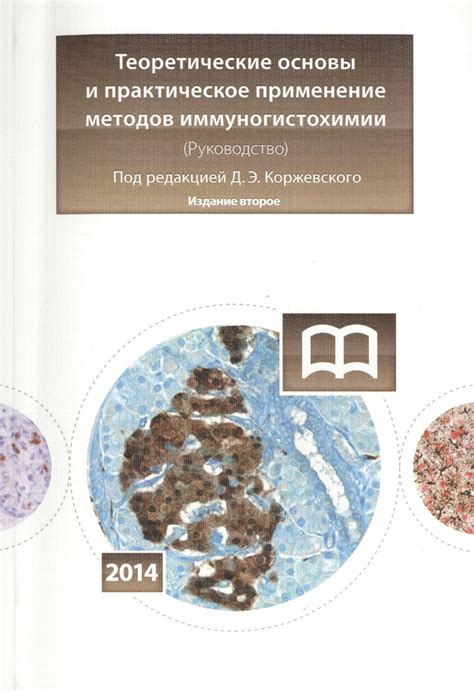 Теоретические основы и практическое применение спирменовского коэффициента в психометрике