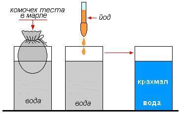 Теплая вода: естественный катализатор жиросжигания