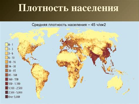 Территории с наибольшей концентрацией зайцев - где они встречаются наиболее часто