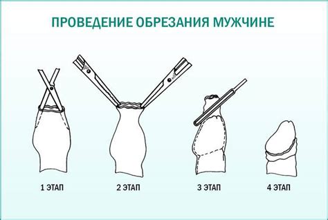 Техника правильного обрезания волос без непредвиденных ошибок