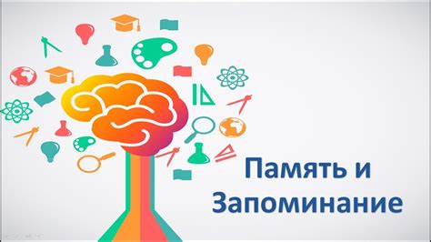 Техники для усовершенствования памяти и запоминания