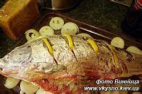 Тилапия: доступная и вкусная альтернатива для жарки