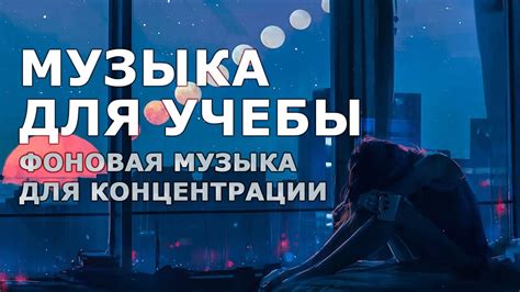 Тихие зоны и фоновая музыка для продуктивной работы в петербургских заведениях
