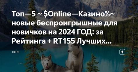 Топ 5 школ астрологии в Российской Федерации для новичков