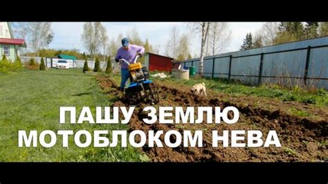 Топ-5 мест для поездок на мотоблоке без прав