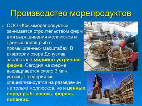 Традиции выращивания и производства