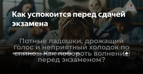 Требования перед сдачей экзамена мопедиста