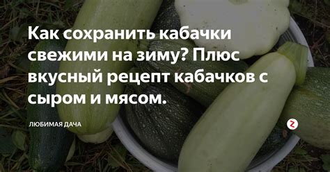 Требуемые условия для хранения кабачков вне холодильника