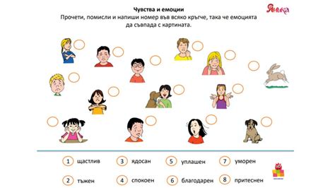 Тренировка глаза: развитие чувства пропорции и стиля