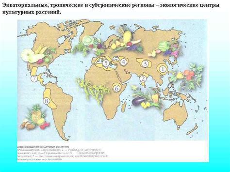 Тропические и субтропические регионы: особенности грибовника