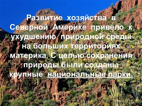 Тупики в Северной Америке: разнообразие и влияние на развитие регионов