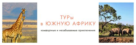 Увлекательные приключения в Африке: незабываемые впечатления и уникальные впечатления