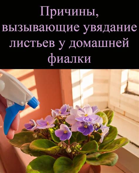 Увядание листьев