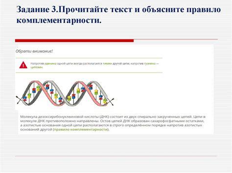 Углерод и его роль в формировании генетического материала