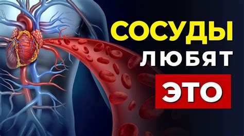 Угроза для сердечно-сосудистой системы: вред от неактивного образа жизни