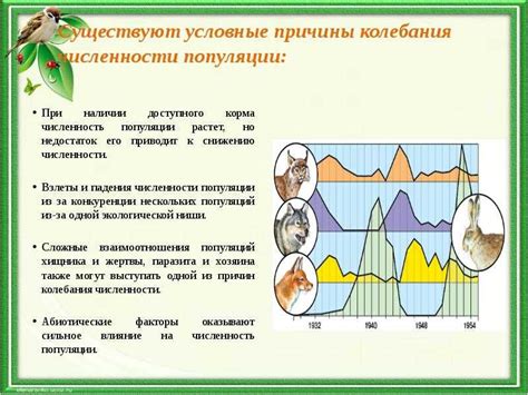 Угрозы для сохранения популяции куниц на территории Российской Федерации