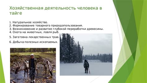 Угрозы тайге: проникновение человека на ее территорию