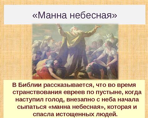 Удивительная эпопея зимнего путешествия: как сберечь манна небесная под открытым небом