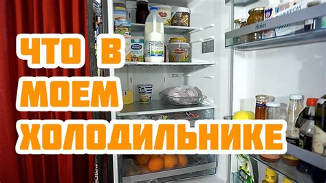 Удивительное соседство: змея и молоко в моем холодильнике